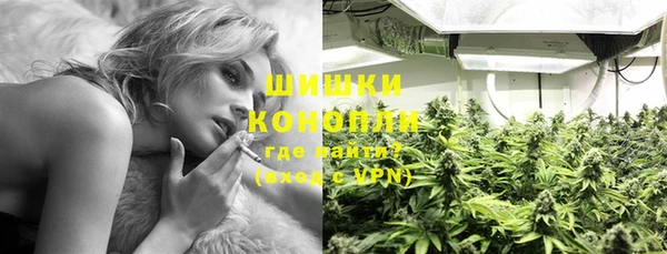 трава Верея