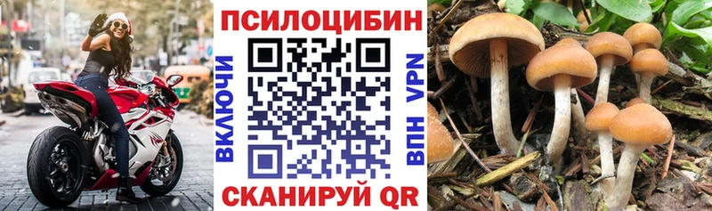 Галлюциногенные грибы Magic Shrooms  Ковылкино 